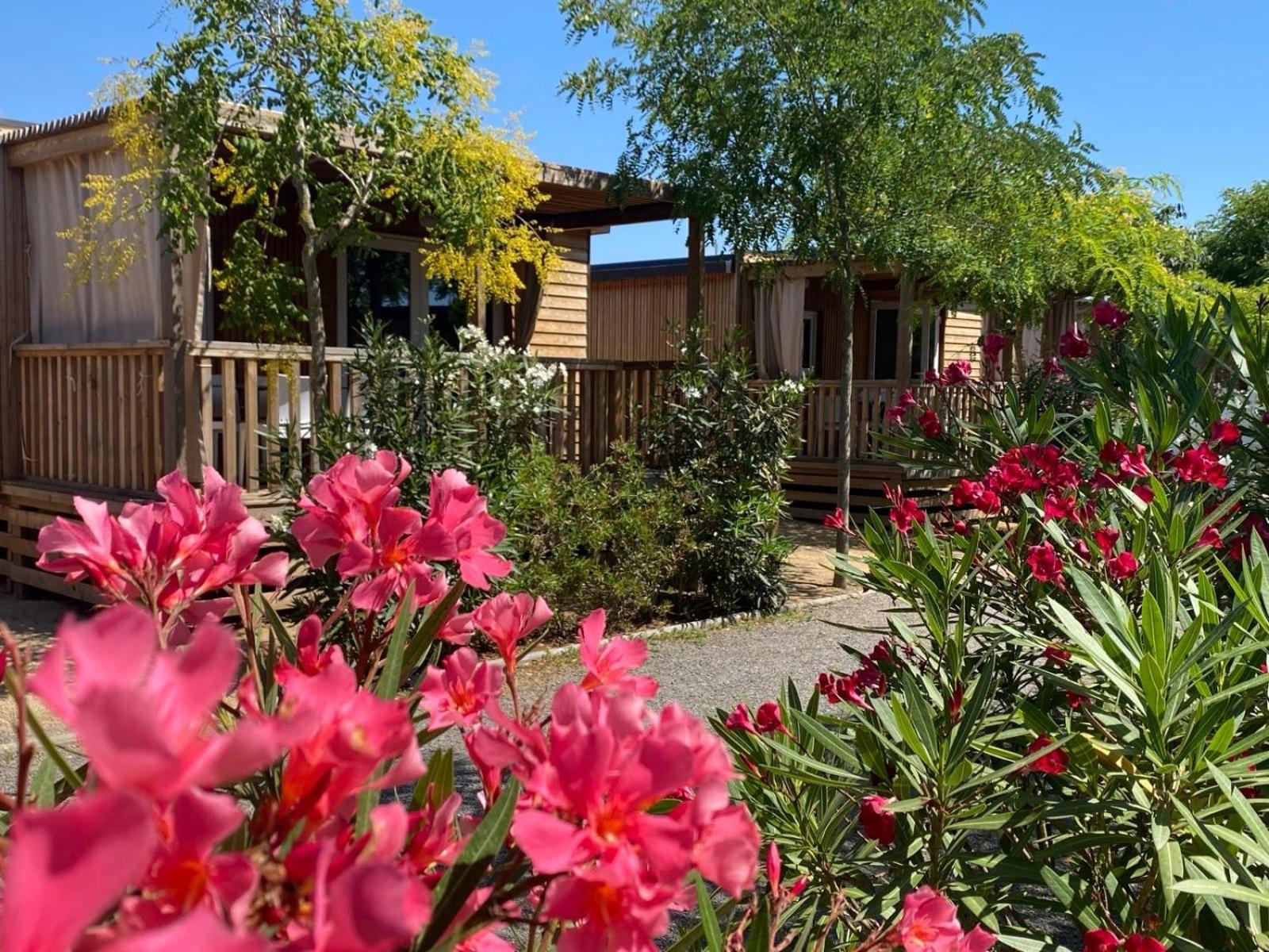 Camping Resort Els Pins Malgrat de Mar Exteriör bild